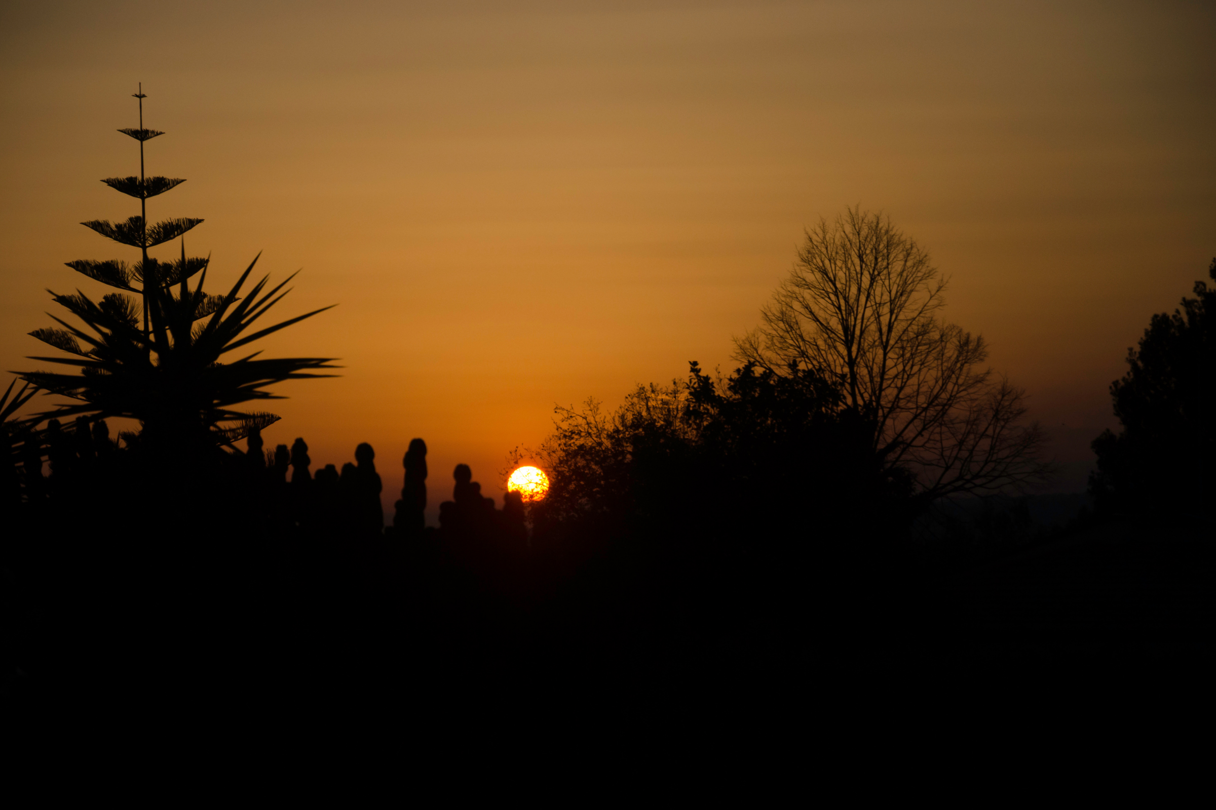 Viagrande[1].webp